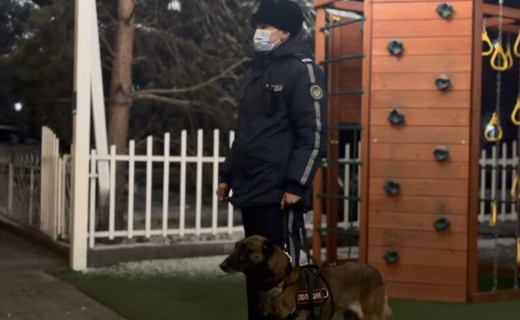 Талдыкорганские полицейские проверяют кафе и бары на наркотики