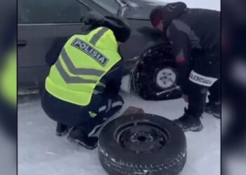 На трассе Алматы — Усть-Каменогорск полицейские помогли водителю