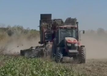 Агросектор Каратальского района набирает темп