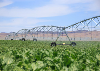 37 объектов водного хозяйства реконструируют и отремонтируют в Жетісу