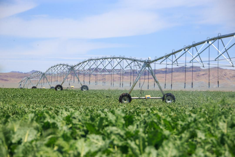 37 объектов водного хозяйства реконструируют и отремонтируют в Жетісу
