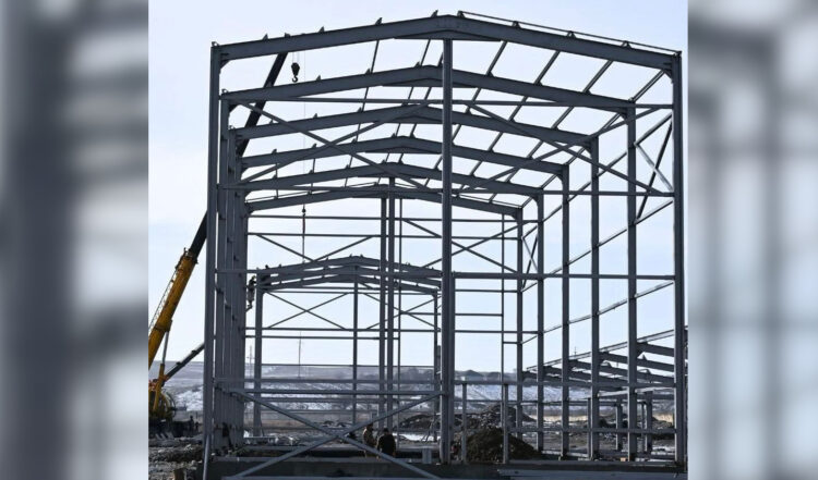 Современный завод по переработке масличных культур строят в Талдыкоргане