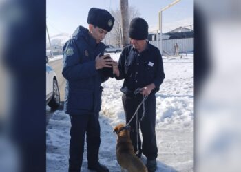 8 нарушений правил содержания домашних животных выявлено в Талдыкоргане