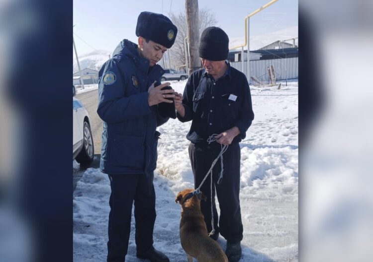 8 нарушений правил содержания домашних животных выявлено в Талдыкоргане