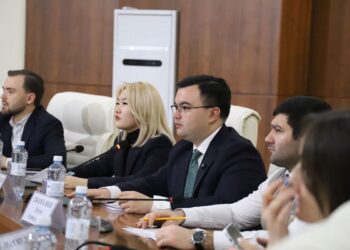 В обсуждении проекта новой Конституции участвует молодежь АНК