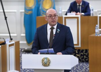 Новая Конституция расширяет возможности граждан для участия в политической жизни страны – глава ОСДП