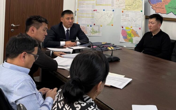 Строительство газовых сетей после зимнего периода возобновят в Жетісу