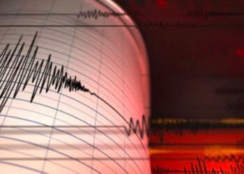 Землетрясение зафиксировано близ Алматы