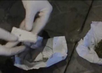 Полицейские пресекли канал сбыта и ликвидировали наркоточку в Талдыкоргане