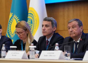 «Нарушений нет»: представитель ЦИК России о референдуме в Казахстане