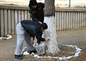 В День очищения военнослужащие провели в гарнизонах экологические акции