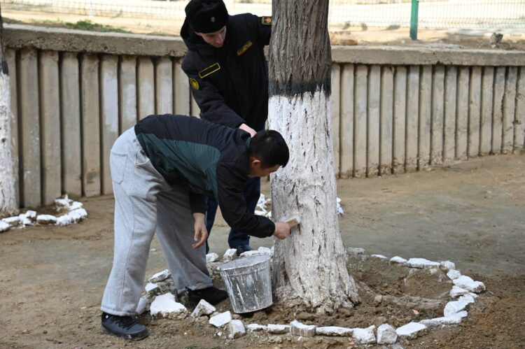 В День очищения военнослужащие провели в гарнизонах экологические акции