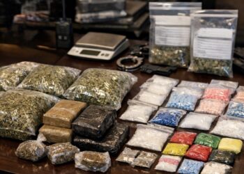 Более 11 кг наркотиков изъяли в области Жетісу с начала 2026 года