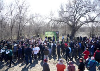 Жетісу объединяет усилия в борьбе за чистоту природы