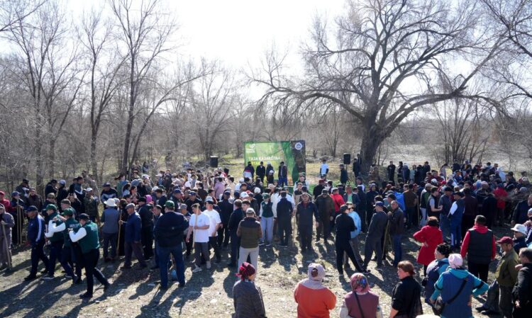 Жетісу объединяет усилия в борьбе за чистоту природы