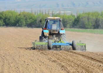 Посевная кампания в Жетісу набирает темпы