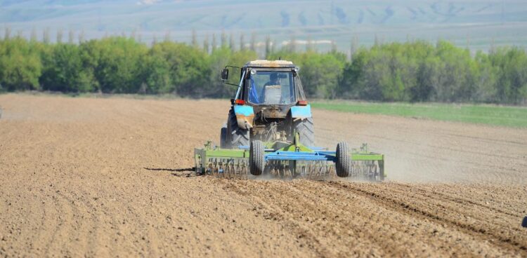 Посевная кампания в Жетісу набирает темпы