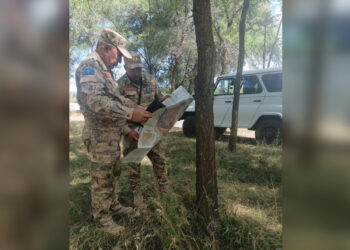 «Таза Қазақстан»: Итоги работы по восстановлению и защите лесов в Жетісу