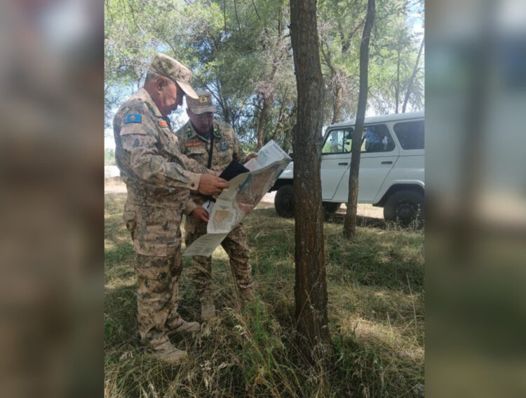 «Таза Қазақстан»: Итоги работы по восстановлению и защите лесов в Жетісу