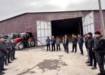 Хозяйство «Беширов» стало флагманом аграрного сектора Панфиловского района