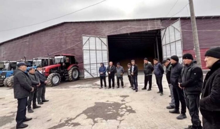 Хозяйство «Беширов» стало флагманом аграрного сектора Панфиловского района