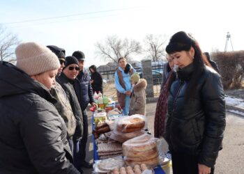 В Жетiсу перед участками референдума устроили праздничные сельхозярмарки
