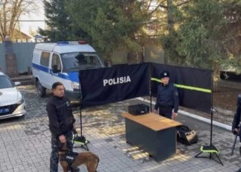 Школьники Коксуского района примерили на себя роль полицейских