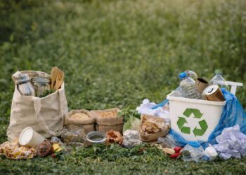 Сегодня отмечается Международный день без отходов