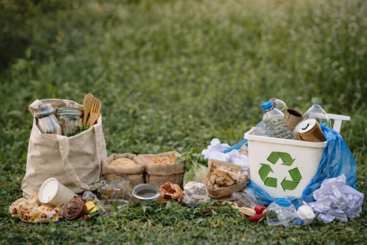 Сегодня отмечается Международный день без отходов