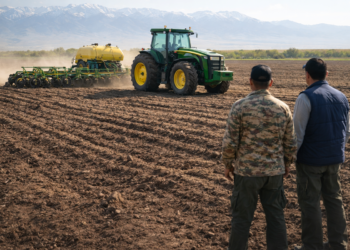 Посевная кампания в Коксуском районе набирает темпы