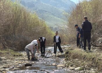 «7 OZEN»: в Аксуском районе очистили русло реки