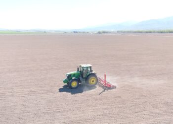 Весенняя страда набирает темпы в Аксуском районе