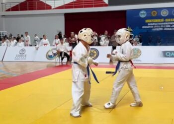 Участников республиканского турнира по Киокушинкай-кан каратэ принял Талдыкорган