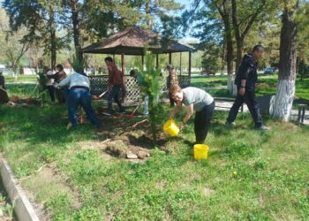 Массовое озеленение прошло в учреждениях региона