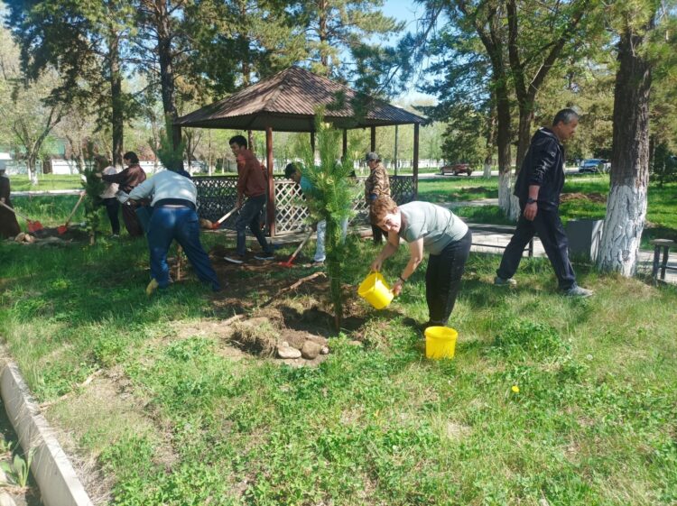 Массовое озеленение прошло в учреждениях региона