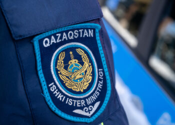 Подозреваемого в избиении женщины взяли под стражу в Аксуском районе