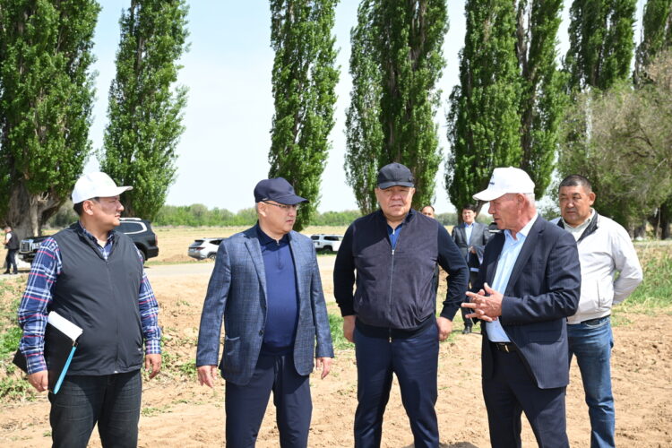 В Жетісу строят центр по разведению тазы и тобета, развивают агросектор и модернизируют дороги