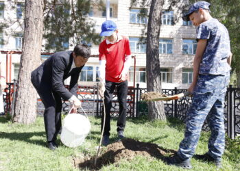 Школьники высадили деревья в рамках акции «Таза Қазақстан»