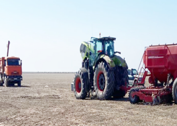 Кербулакский район вошёл в активную фазу посевной кампании
