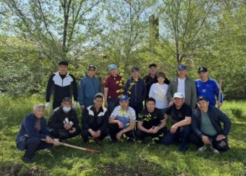 Около 30 берез высадили в Центре психического здоровья Жетісу