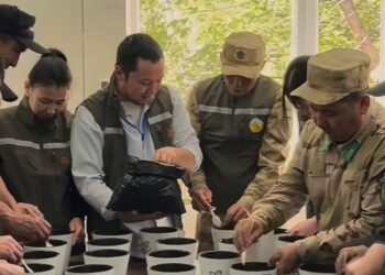 «Таза Қазақстан»: экологи нацпарка «Алтынемель» высадили шаган