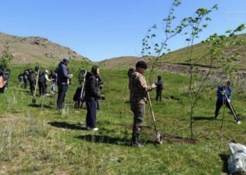 В ущелье «Кызылтас–Тасбака» под Талдыкорганом высадили более 250 деревьев