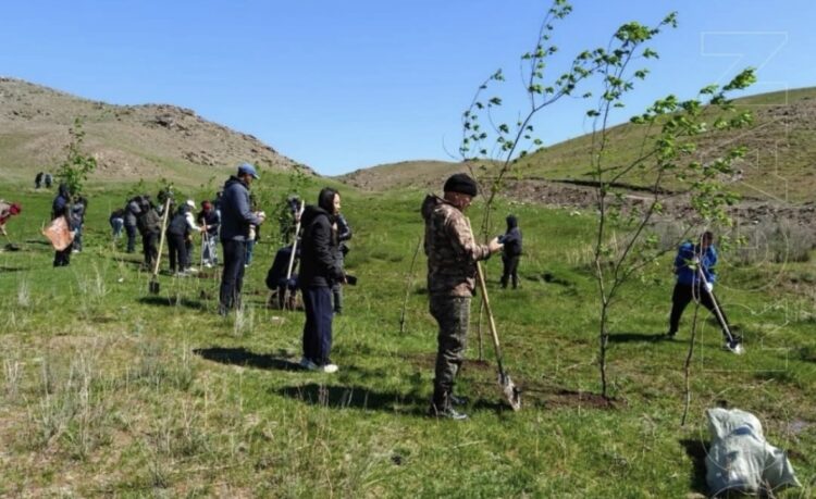 В ущелье «Кызылтас–Тасбака» под Талдыкорганом высадили более 250 деревьев