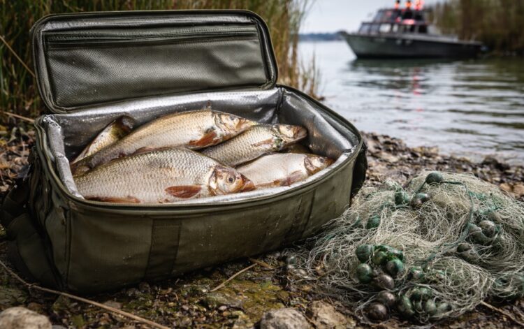 17 килограммов незаконно выловленной рыбы пытались вывезти с Балхаша