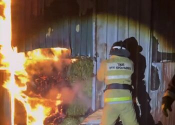 В Талдыкоргане ликвидирован пожар на территории частного дома