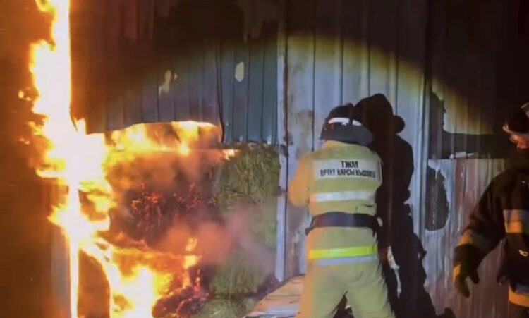 В Талдыкоргане ликвидирован пожар на территории частного дома