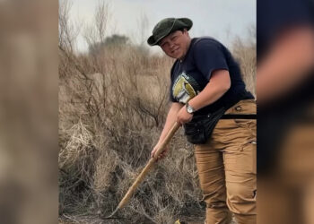 Экодесант в «Алтынемеле»: международный субботник объединил волонтеров из четырех стран