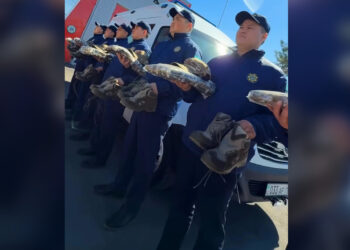 Спасатели Талдыкоргана получили современную экипировку