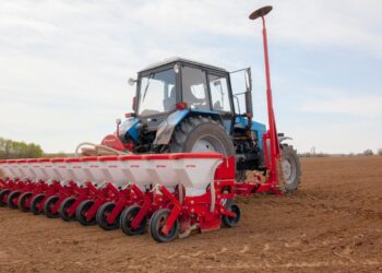 В Алакольском районе увеличены посевные площади