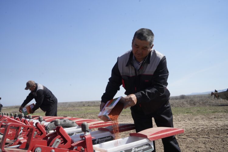 Посевная сахарной свеклы стартовала в Коксуском районе